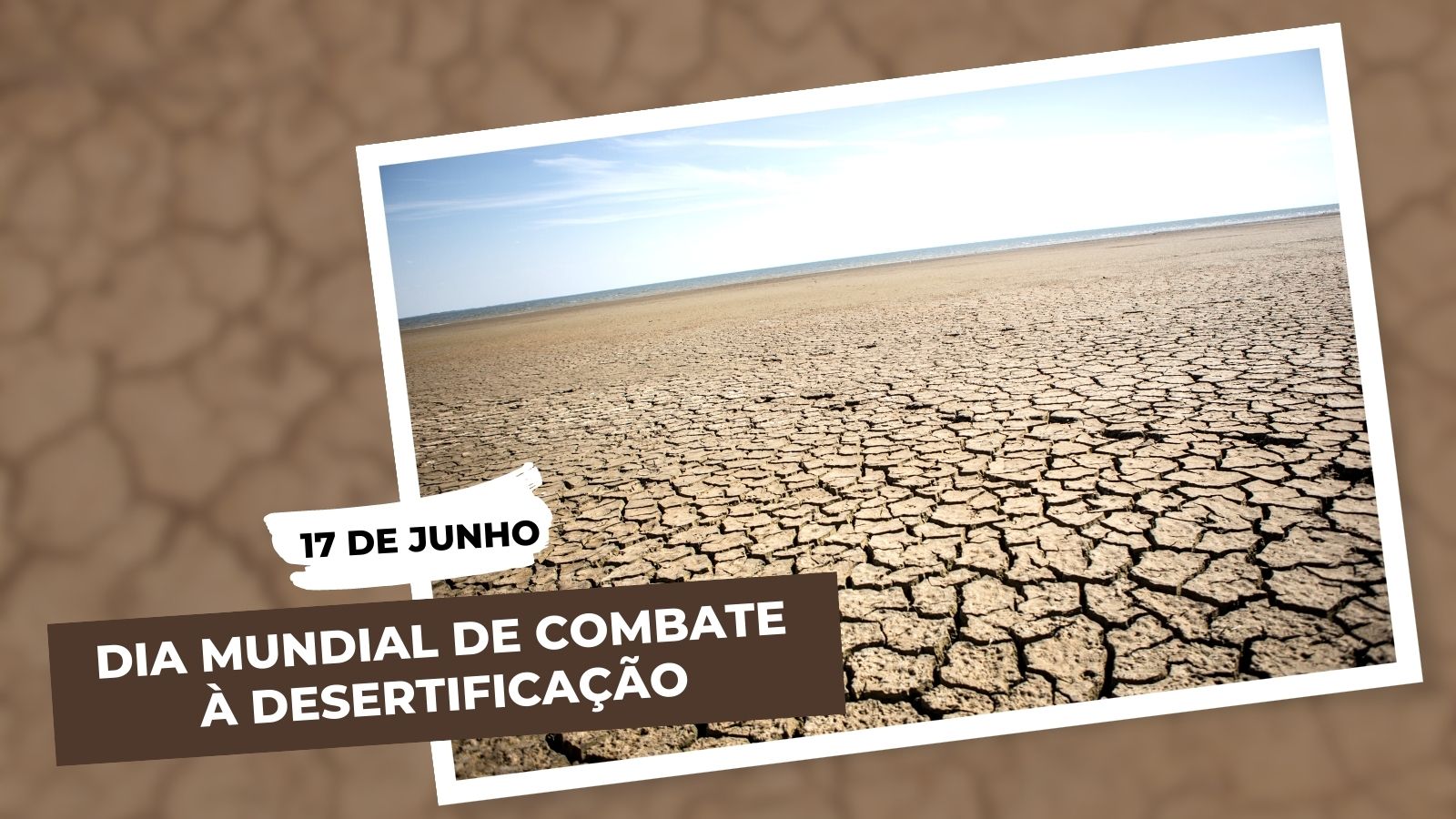 Dia Mundial de Combate à Desertificação