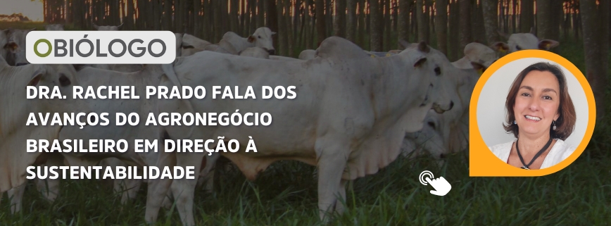 artigo