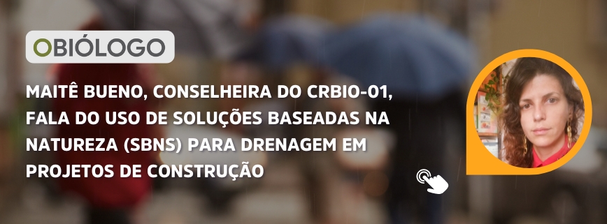 artigo