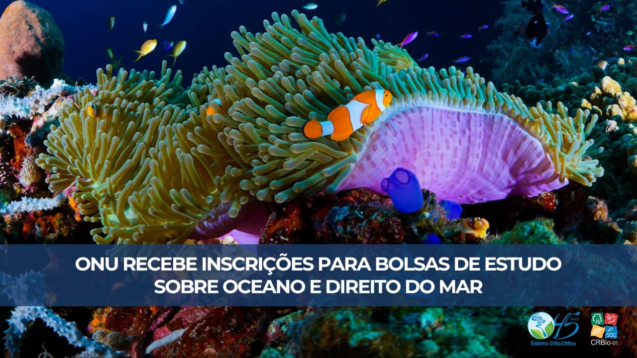 artigo